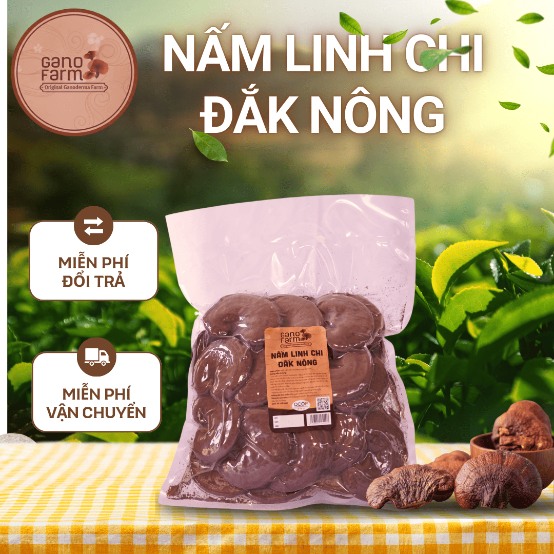 Nấm Linh Chi Đắk Nông 500g