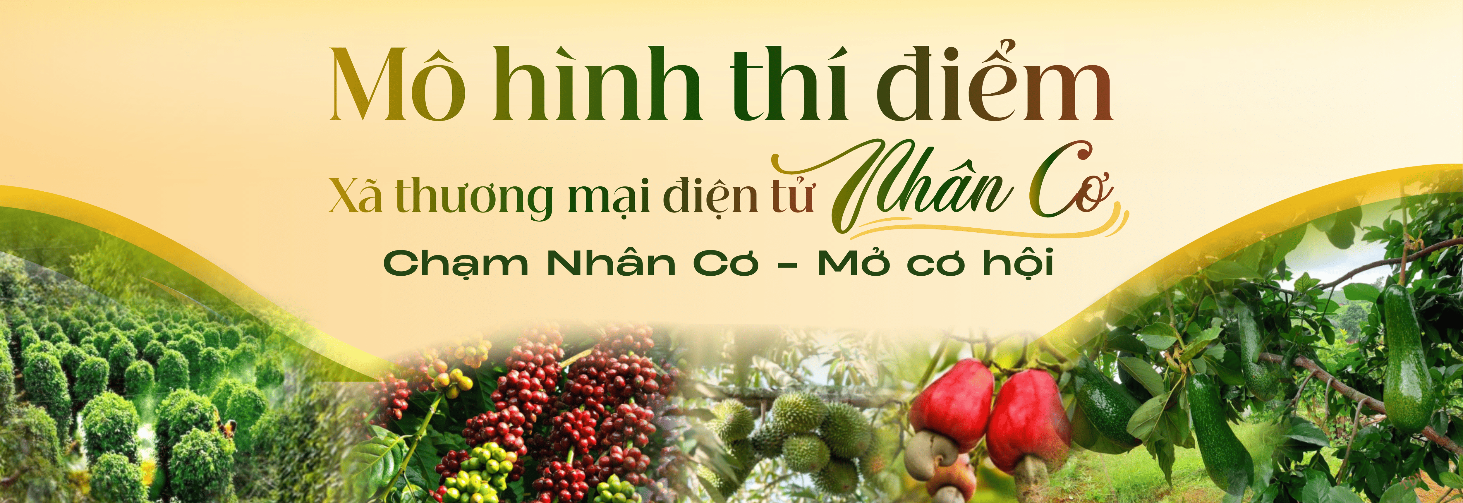 Đặc sản Tây Nguyên